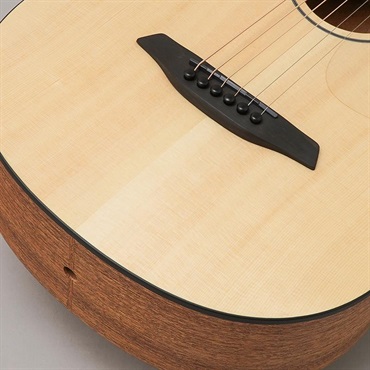 Furch Pioneer EMa フォルヒ 画像8