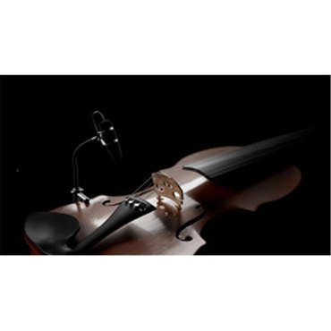 バイオリン　確認用 31q9+GLOYQL._AC_SY200_QL15_.jpg