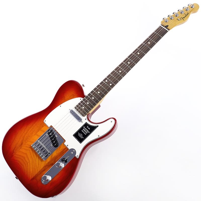 Fender MEX レリック仕様　アビゲイルイバラ　Telecaster Fender MEX レリック仕様 アビゲイルイバラ Telecaster