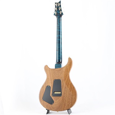 P.R.S. Ikebe 50th Anniversary Wood Library Special Semi-Hollow (Teal) [SN.0402032] 画像2