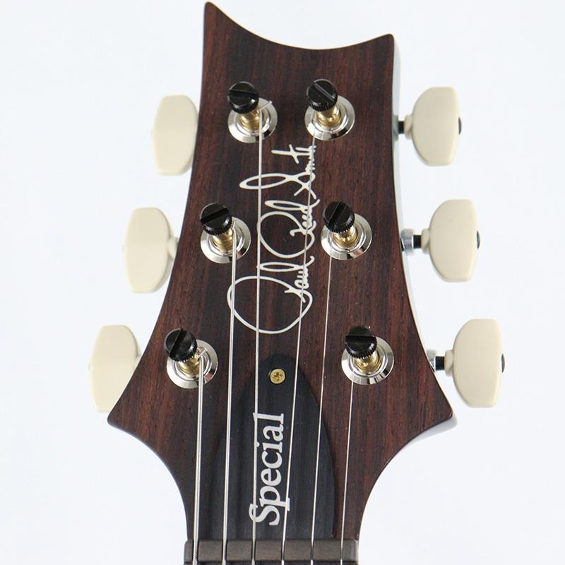 P.R.S. Ikebe 50th Anniversary Wood Library Special Semi-Hollow (Teal) [SN.0402032] 画像9