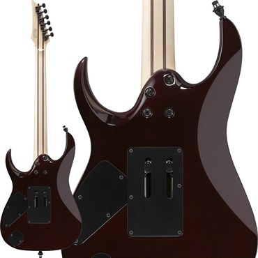 Ibanez j.custom Axe Design Lab RG8870-BSR (Brownish Sphalerite) [SPOT MODEL] 画像1