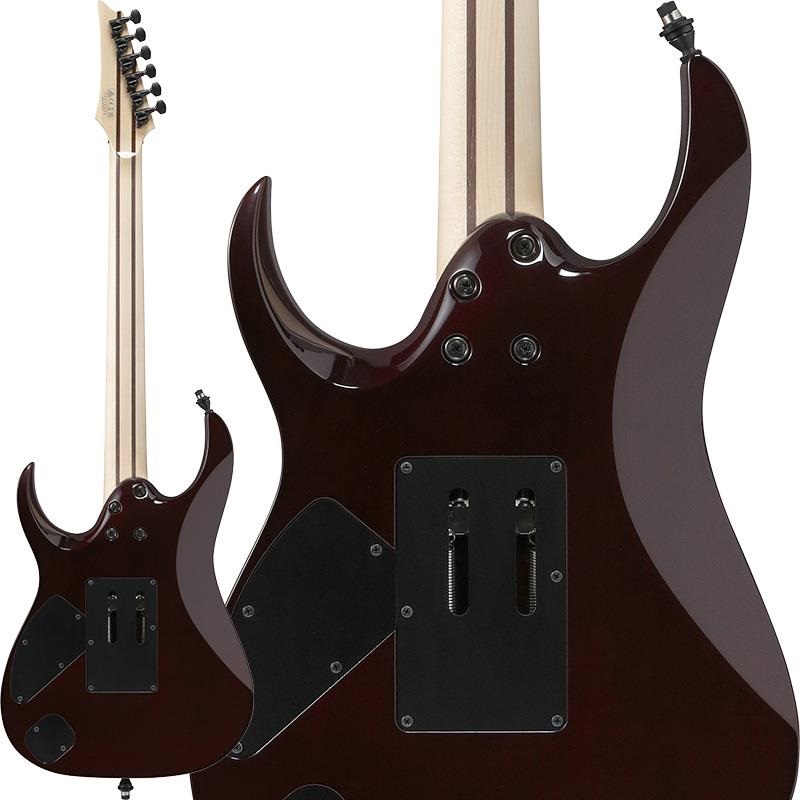 Ibanez j.custom Axe Design Lab RG8870-BSR (Brownish Sphalerite) [SPOT MODEL] 画像1