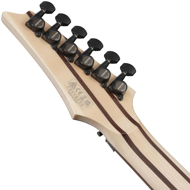 Ibanez j.custom Axe Design Lab RG8870-BSR (Brownish Sphalerite) [SPOT MODEL] 画像5
