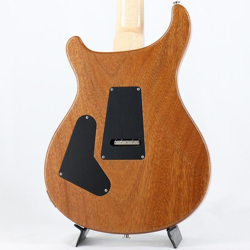 P.R.S. Custom 24 Floyd 10top (Carrol Blue) [SN.0371116] 【2023年生産モデル】 画像3