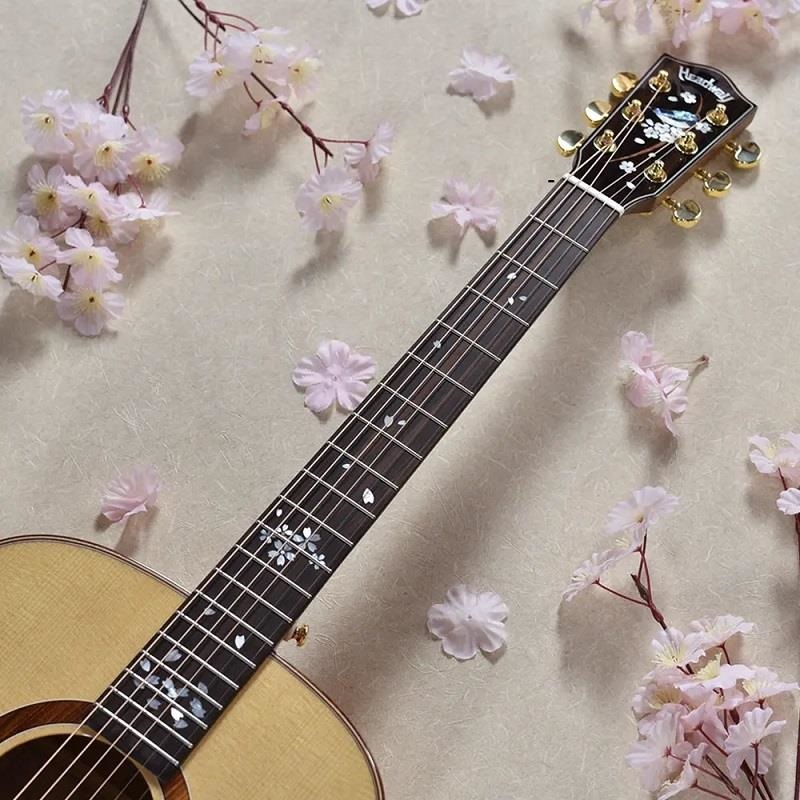 Headway HF-KOBOREZAKURA ヘッドウェイ ｜イケベ楽器店オンラインストア