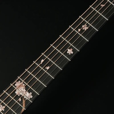 Headway HD-SAKURA SUMMER’25/STD 【2025大商談会限定モデル】 ヘッドウェイ 画像8