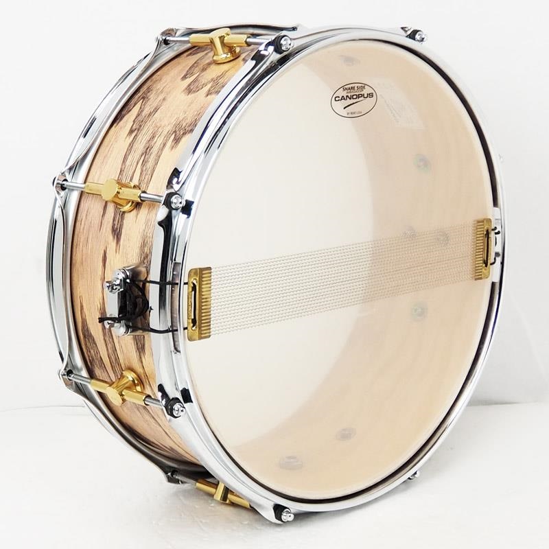 CANOPUS USED 中古 AH-1455 [Ash Snare Drum 14×5.5] ｜イケベ楽器店 