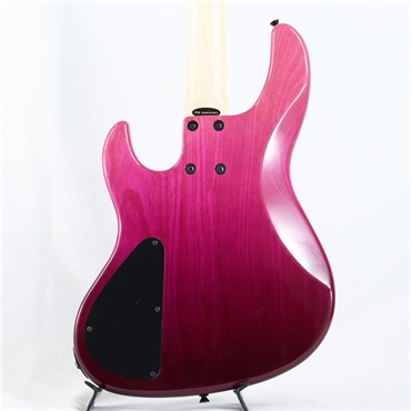 ATELIER Z Beta4 Custom (FADE PPL/M/MH) 画像4