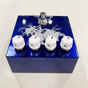 unknown USED 中古 Lycoris (Blue Edition) 画像4