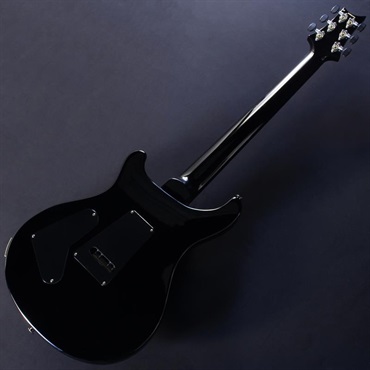 P.R.S. Custom 24 ''Floyd'' (Custom Color) #25 0401086 画像5