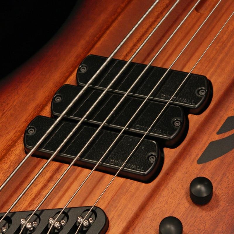 DINGWALL D-Roc Standard 5strings (Matte Vintageburst) 画像2