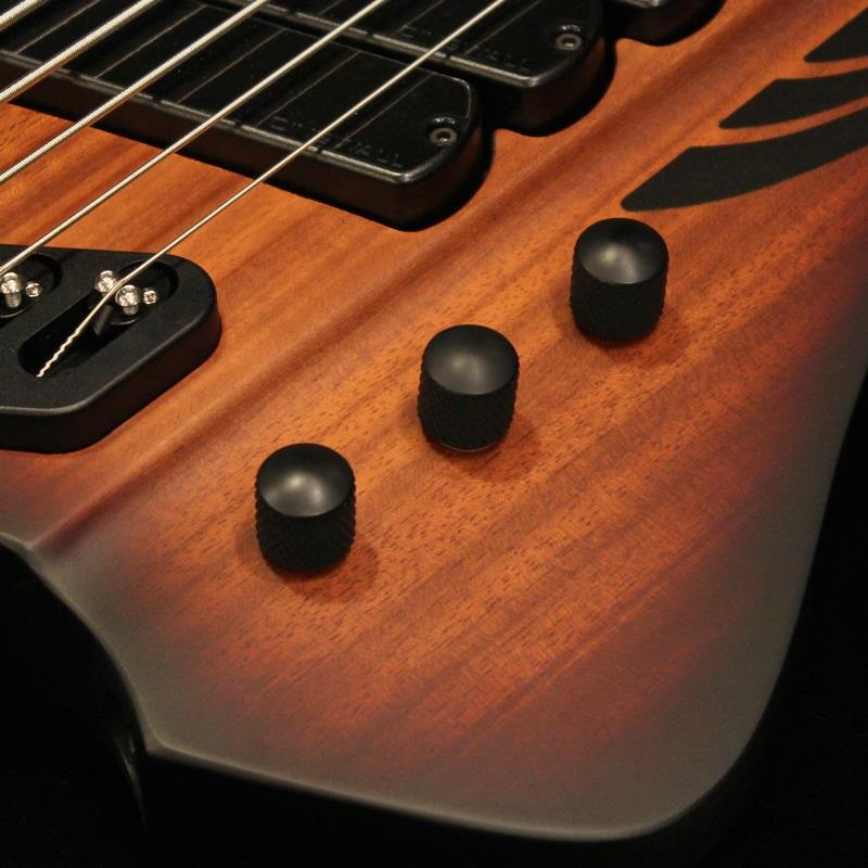 DINGWALL D-Roc Standard 5strings (Matte Vintageburst) 画像3