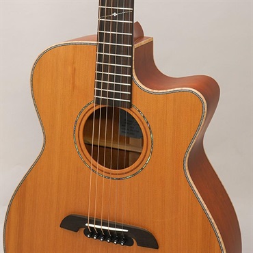 K.Yairi WY-1 CTM Cedar / Mahogany 【Heartman Guitars Original Order Model】 画像6