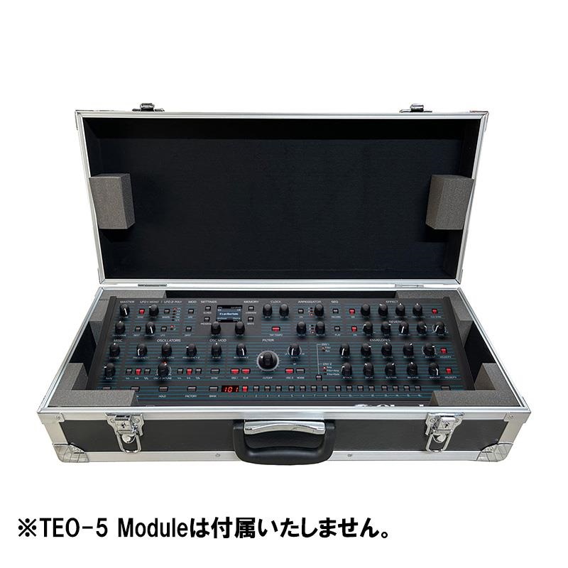 Oberheim TEO-5 Module 専用ハードケース (オーバーハイム)(日本製) 画像1