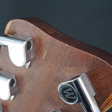 Warwick USED 中古 Pro Series Corvette Standard Ash 6st ｜イケベ