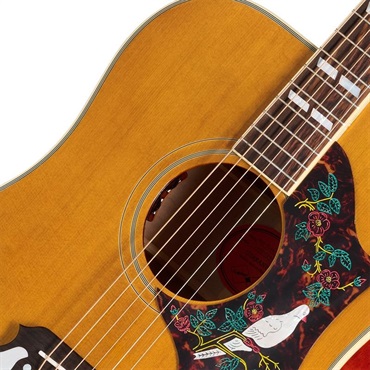 Epiphone 1963 Dove Reissue エピフォン 画像4