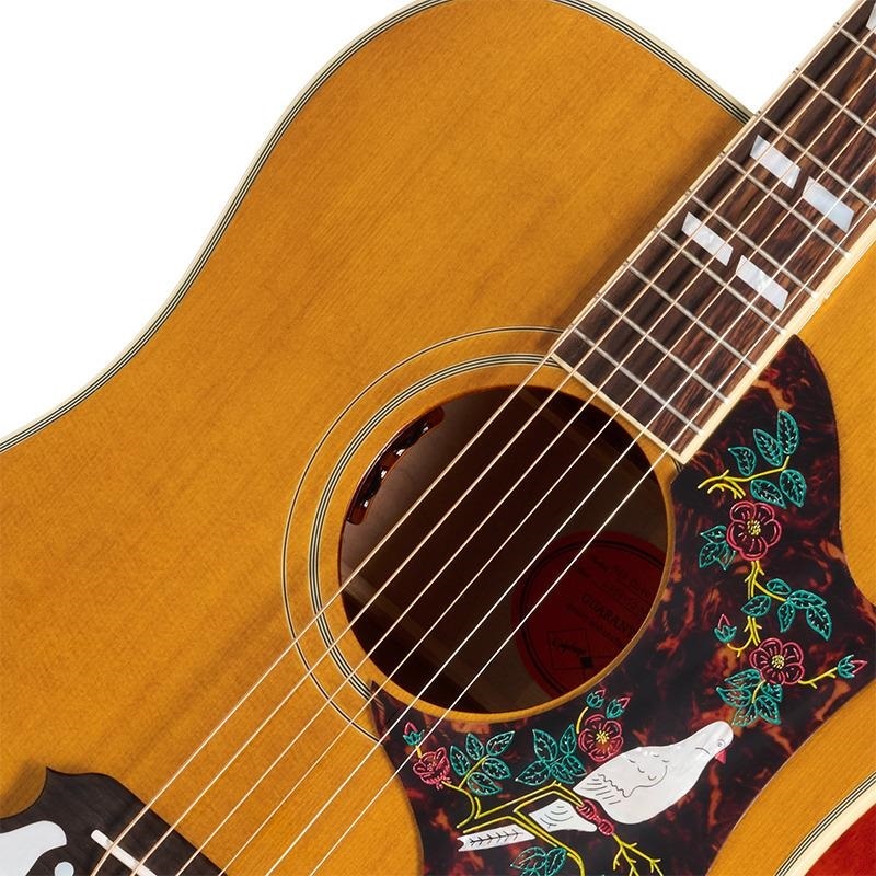 Epiphone 1963 Dove Reissue エピフォン 画像4