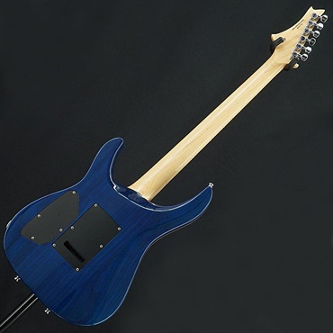 G-Life Guitars USED 中古 G-Life Guitars DSG Life-Ash (Royal