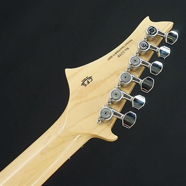 G-Life Guitars USED 中古 G-Life Guitars DSG Life-Ash (Royal