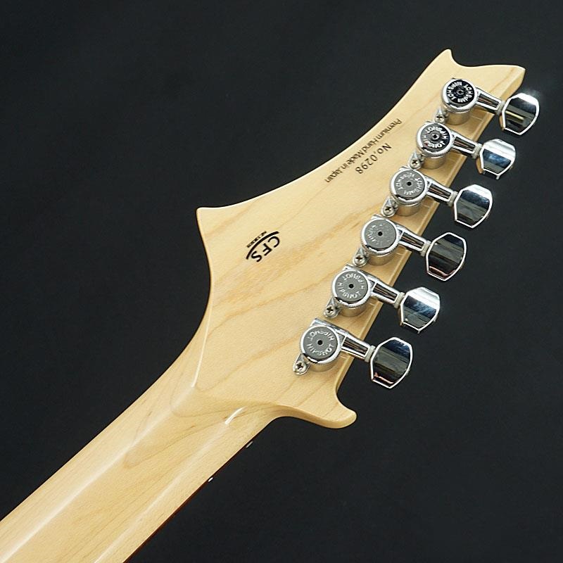 G-Life Guitars USED 中古 G-Life Guitars DSG Life-Ash (Royal