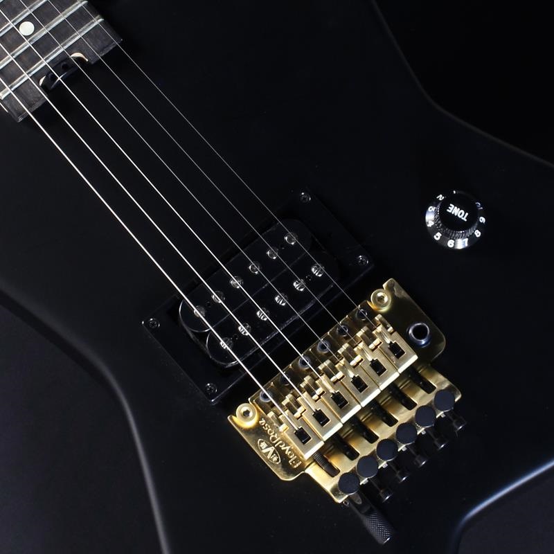 EVH Limited Edition Star (Stealth Black with Gold Hardware/Ebony
