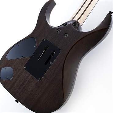 Ibanez j.custom RG8620AH-BQZ (Black Quartz) SN.F2600184 画像7