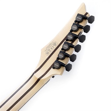 Ibanez j.custom RG8620AH-BQZ (Black Quartz) SN.F2600184 画像9