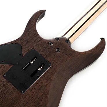 Ibanez j.custom RG8620AH-BQZ (Black Quartz) 画像5