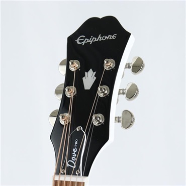 Epiphone 【数量限定エピフォン・アクセサリーパックプレゼント】 Dove Studio Limited Edition Alpine White エピフォン 画像4