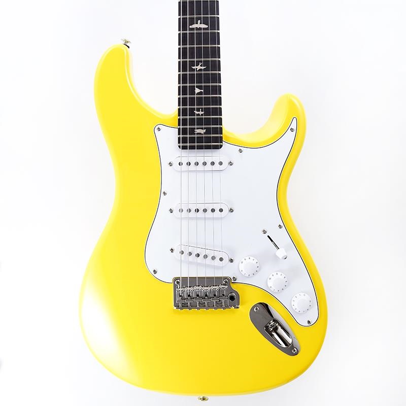 銀さんレアカラーバージョン P.R.S. SE Silver Sky Maple (Summit Purple) [John Mayer Model