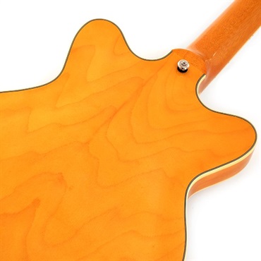 GRETSCH G2655 Streamliner Center Block Jr. Double-Cut with V-Stoptail (Village Amber) 画像5