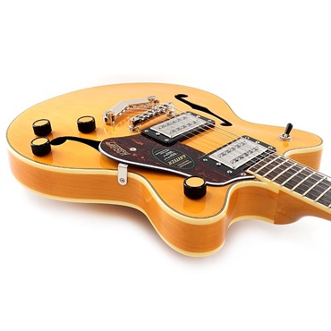 GRETSCH G2655 Streamliner Center Block Jr. Double-Cut with V-Stoptail (Village Amber) 画像8