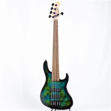 ベース Sadowsky Limited EditionML5-24 Sadowsky Limited-edition MetroLine 24-fret Modern 5-string