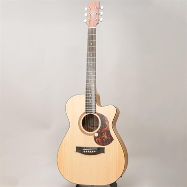 MATON SRS808C メイトン 画像2