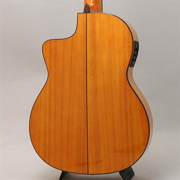 Cordoba Iberia Series GK Studio  コルドバ 画像1