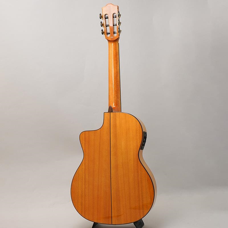 Cordoba Iberia Series GK Studio  コルドバ 画像3