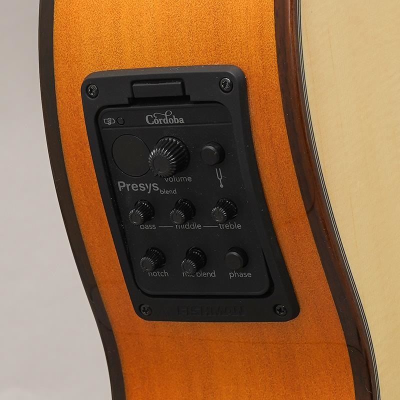 Cordoba Iberia Series GK Studio  コルドバ 画像7