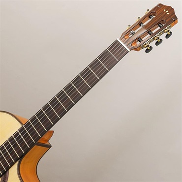 Cordoba Iberia Series GK Studio  コルドバ 画像8