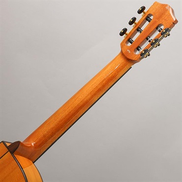 Cordoba Iberia Series GK Studio  コルドバ 画像9