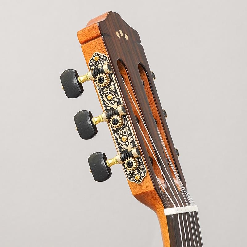 Cordoba Iberia Series GK Studio  コルドバ 画像10