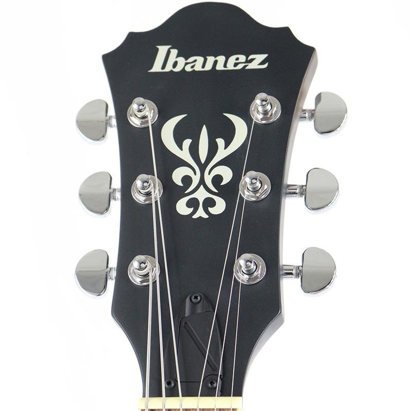 Ibanez Artcore AS53-TKF (Transparent Black Flat) 【サンプルB