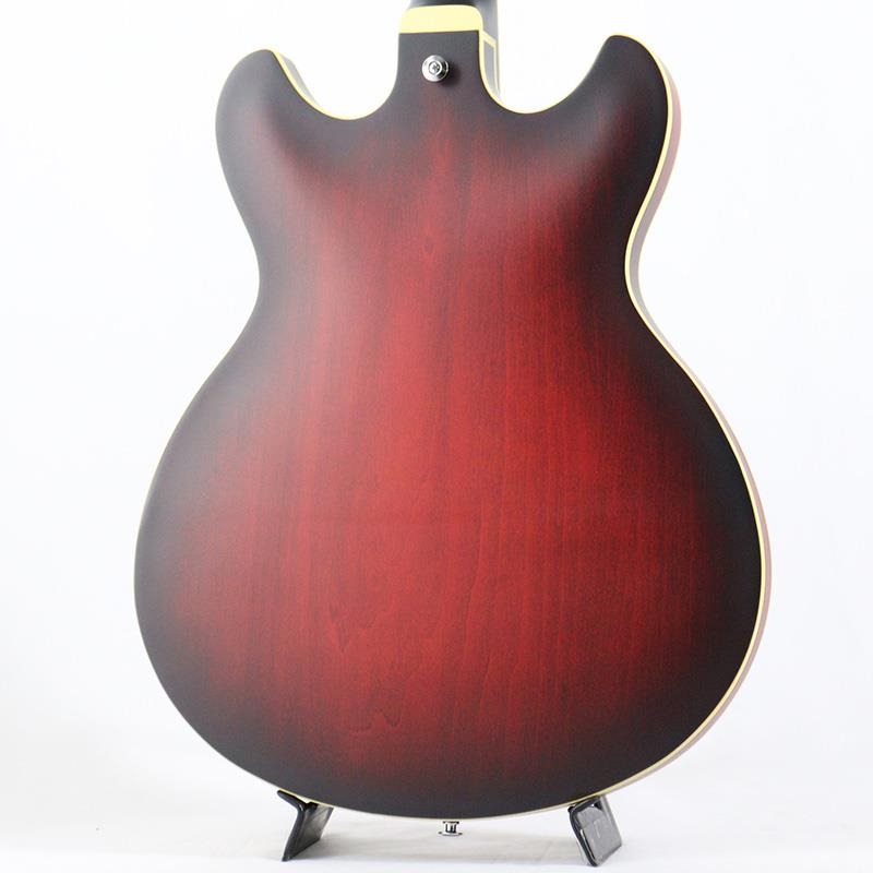 Ibanez Artcore AS53-SRF (Sunburst Red Flat) 【サンプルB級