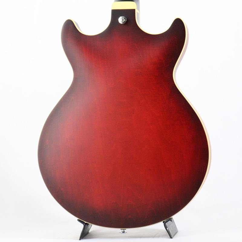 波楽人 Ibanez Artcore AM53-SRF (Sunburst Red Flat) 【サンプルB級