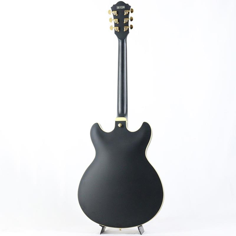 Ibanez AS73D-NT-12-02ハードケース 付き Ibanez '10 AS73D-NT – 京町家のギターショップ ライトニン