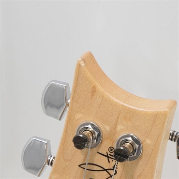 P.R.S. USED 中古 CE 24 Eriza Verde [SN. 22 0341353] 画像10