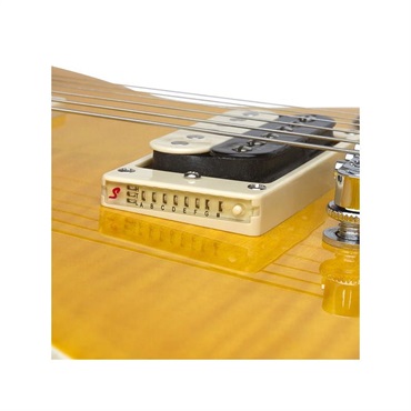 Epiphone Slash Appetite Les Paul Special-II 画像3