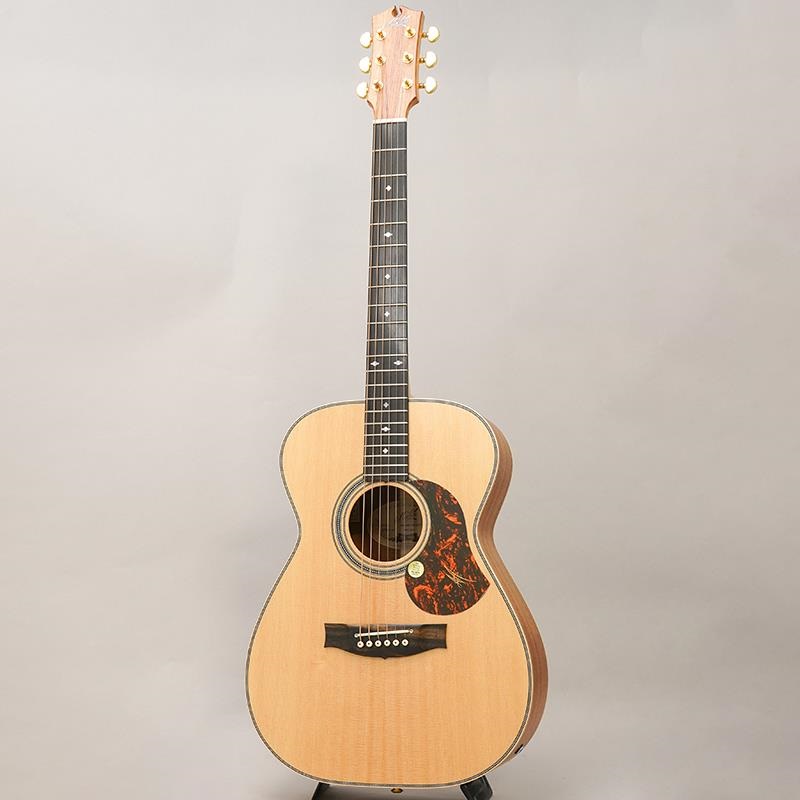 MATON EBG808 Artist #29852 メイトン 画像2