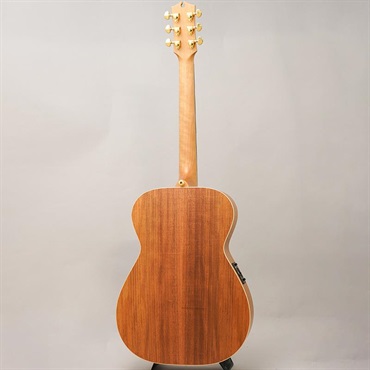 MATON EBG808 Artist #29852 メイトン 画像3