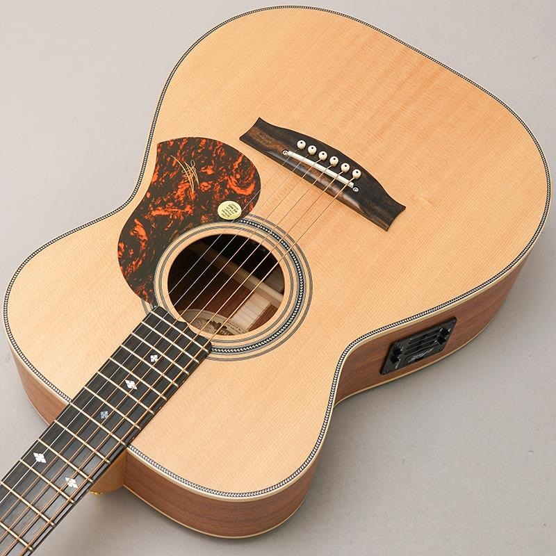 MATON EBG808 Artist #29852 メイトン 画像4